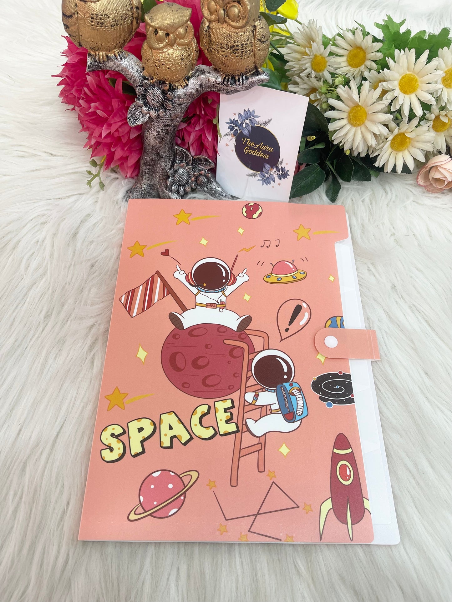 A4 file folder with 6 pocket