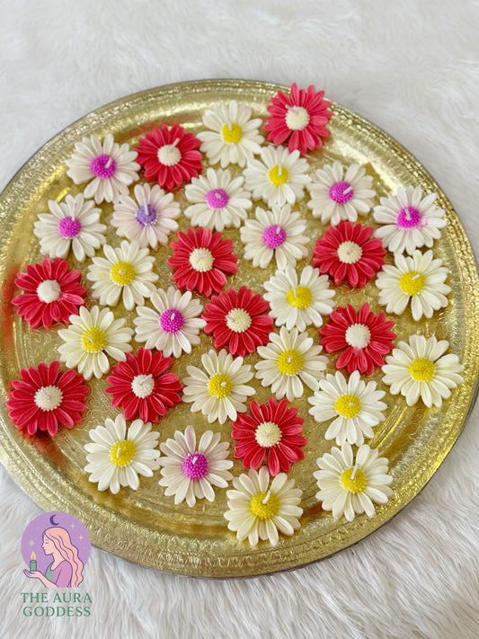 FLOATING DAISY | Rs 50 / Pc